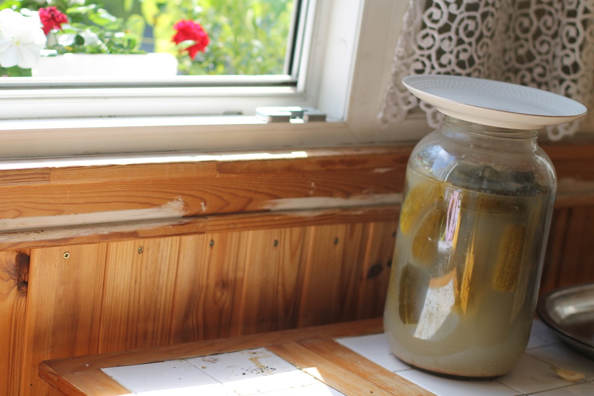 Lacto-fermented pickles (kovászos&nbsp;uborka)