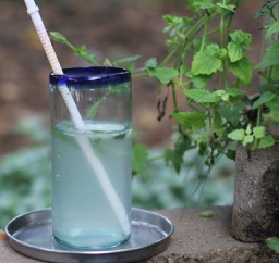 Gin cocktail with cucumber and&nbsp;basil